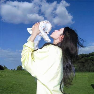 海盗岛：甲板上的家族